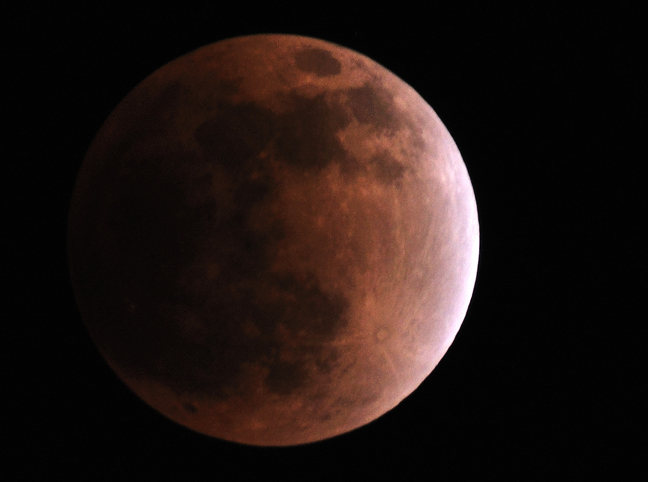 DSC_9522.jpg