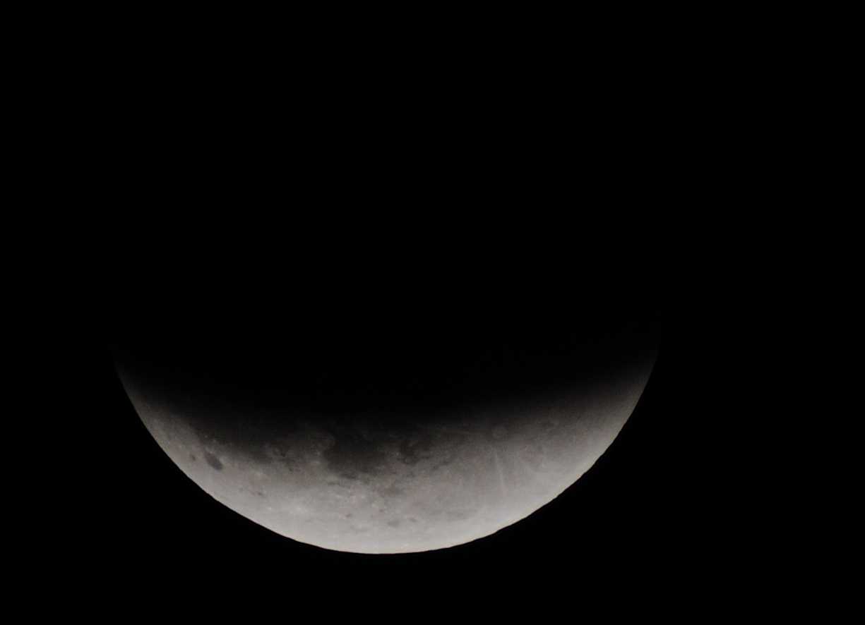 DSC_9564.jpg