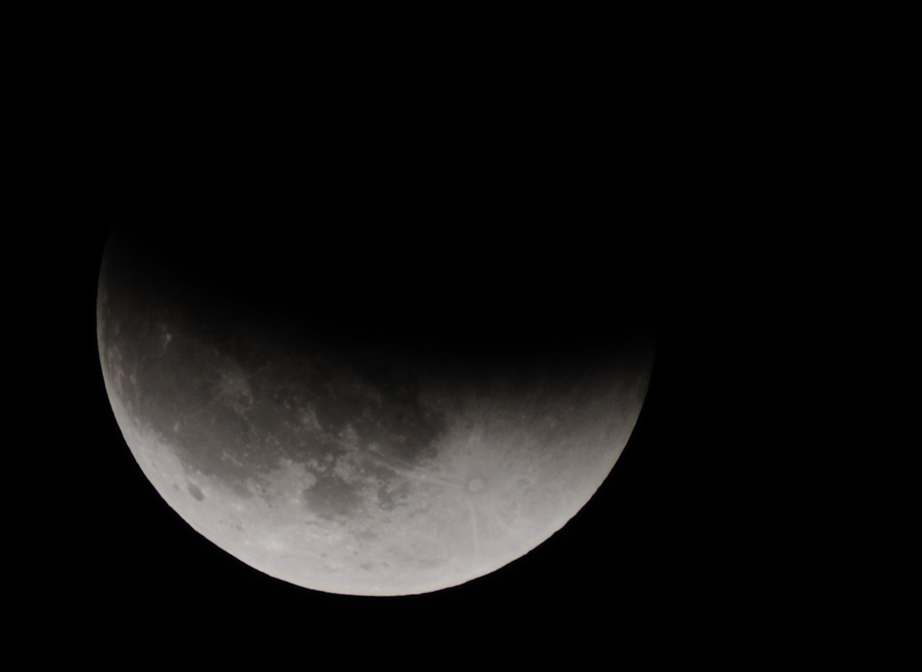 DSC_9573.jpg