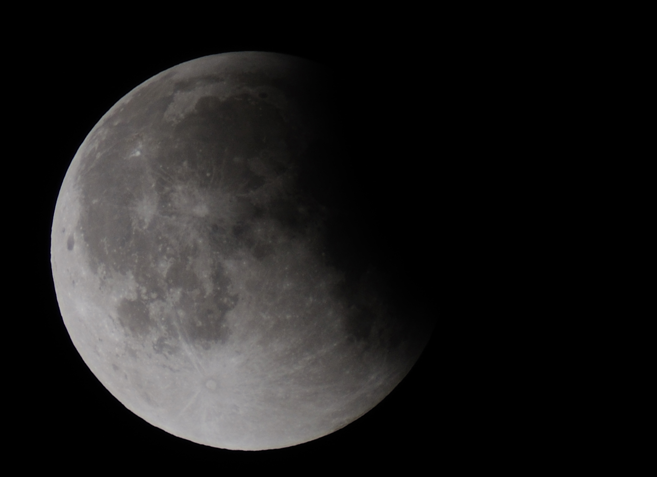 DSC_9588.jpg