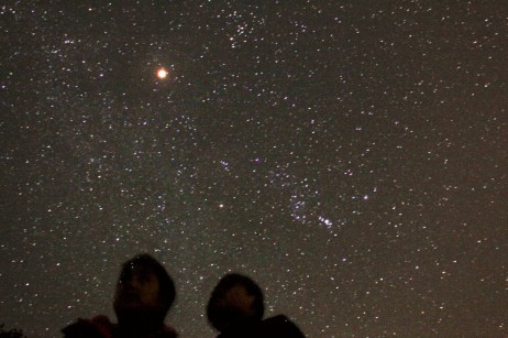 星野1.jpg