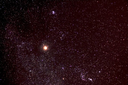 星野2.jpg
