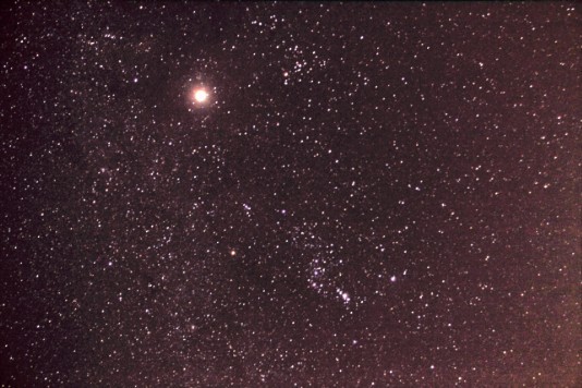 星野3.jpg