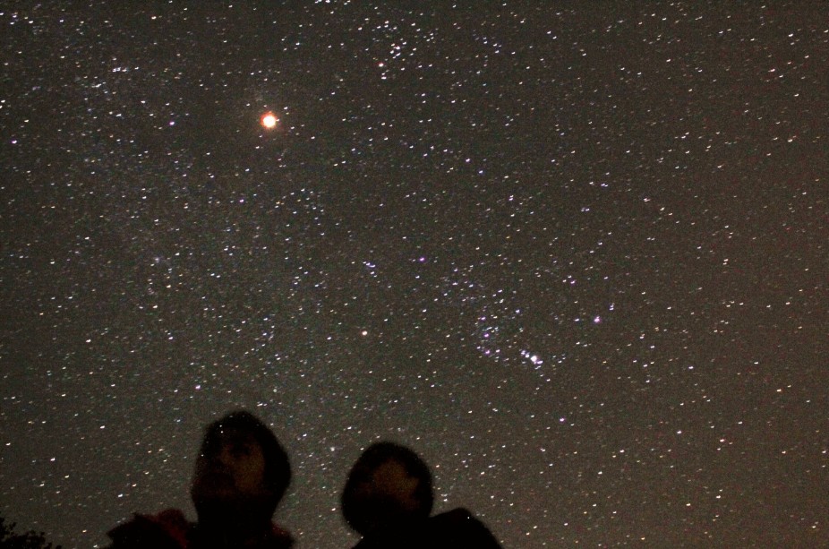 星野11.jpg