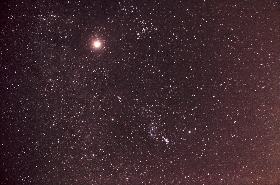 星野12.jpg