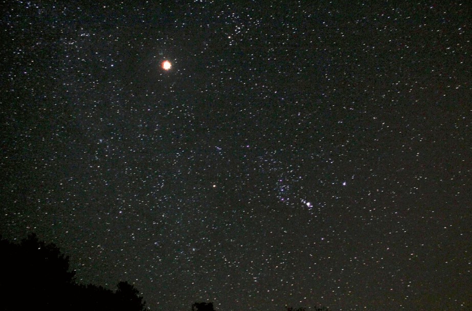 星野101.jpg