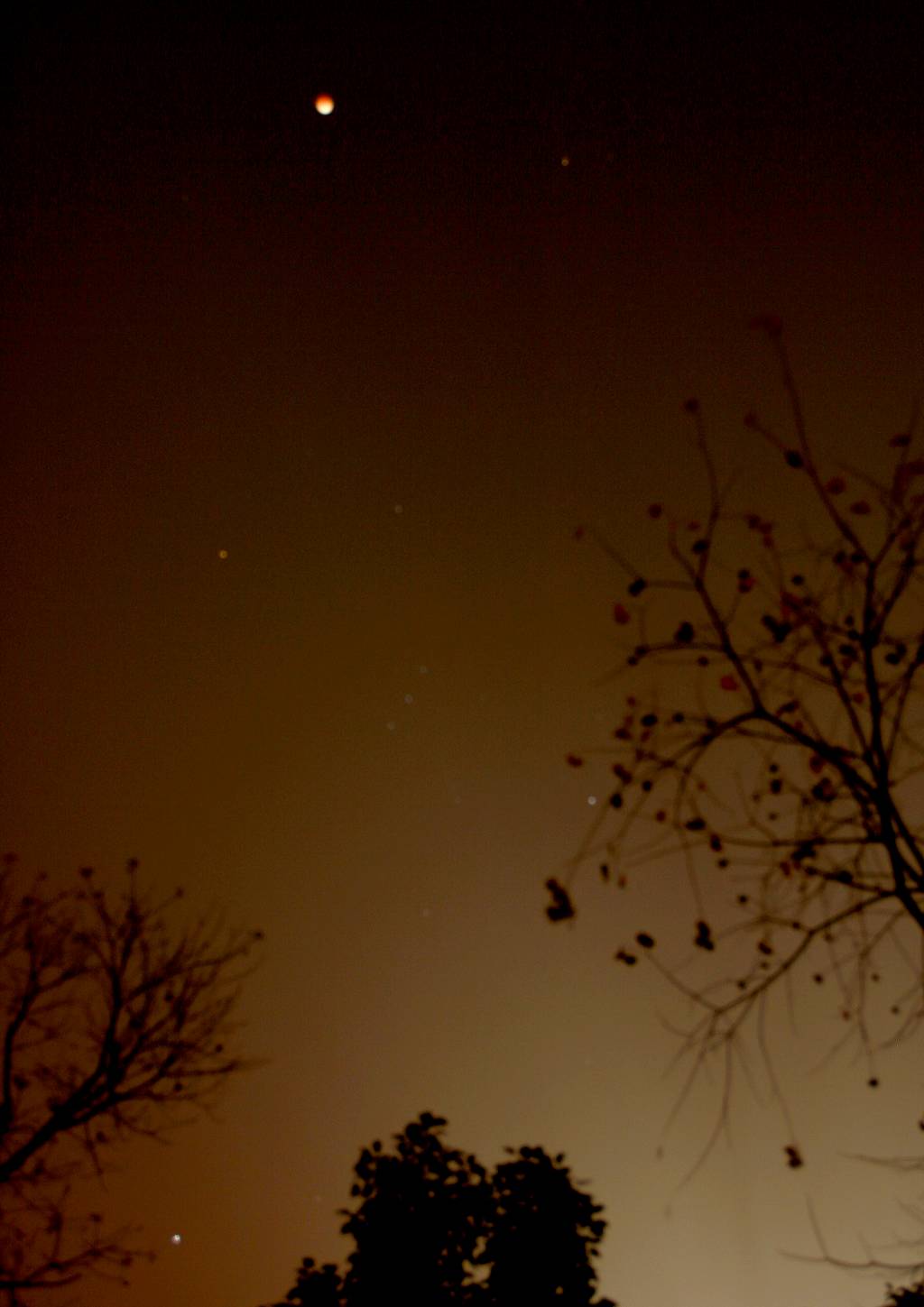 moon and  sirius.jpg