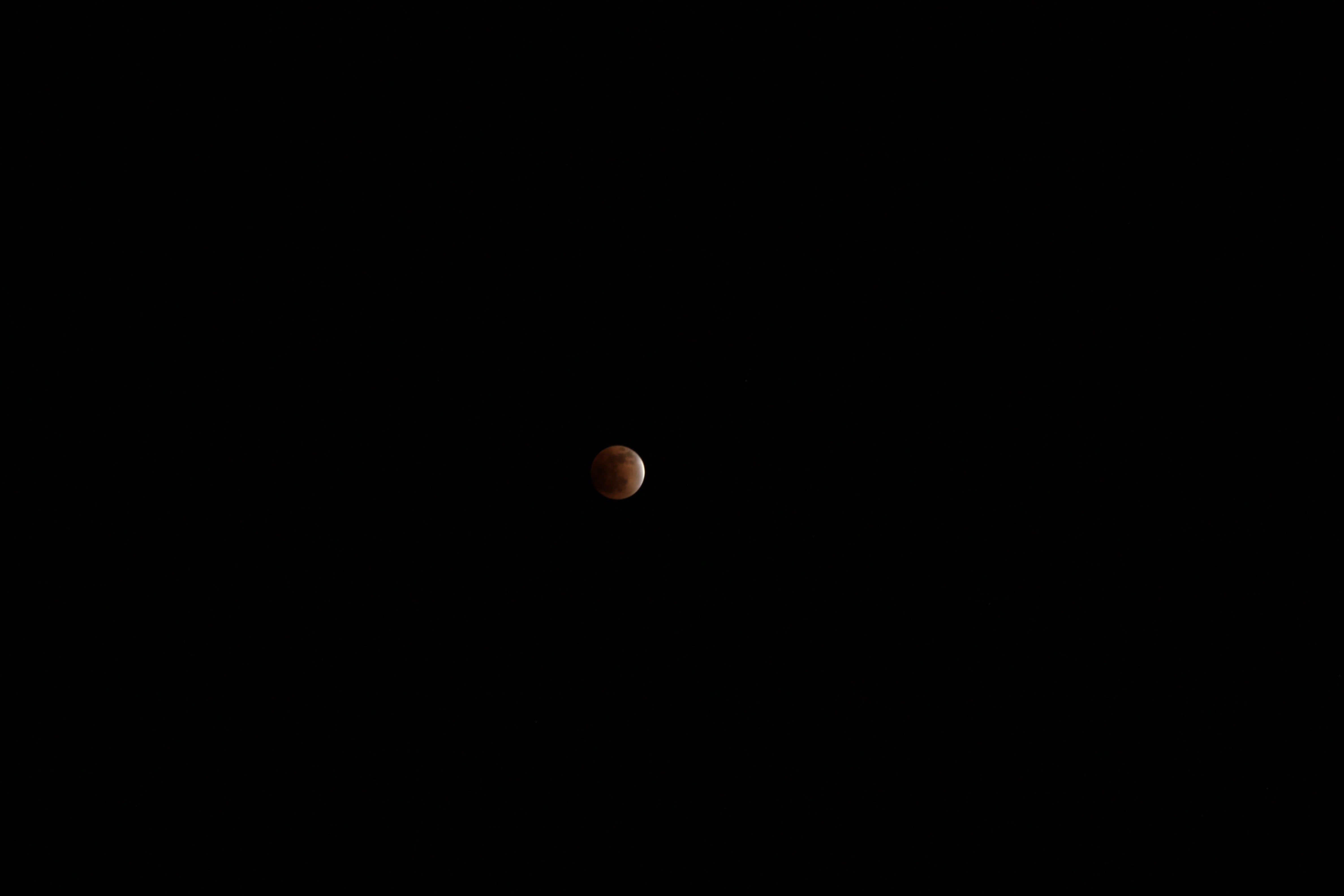 IMG_0059.jpg