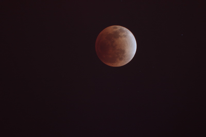 IMG_4496_调整大小.JPG