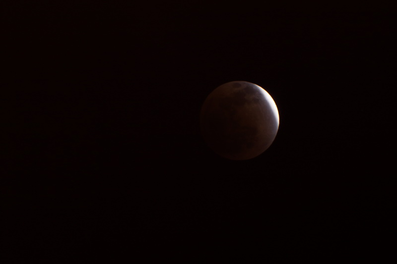 IMG_4485_调整大小.JPG
