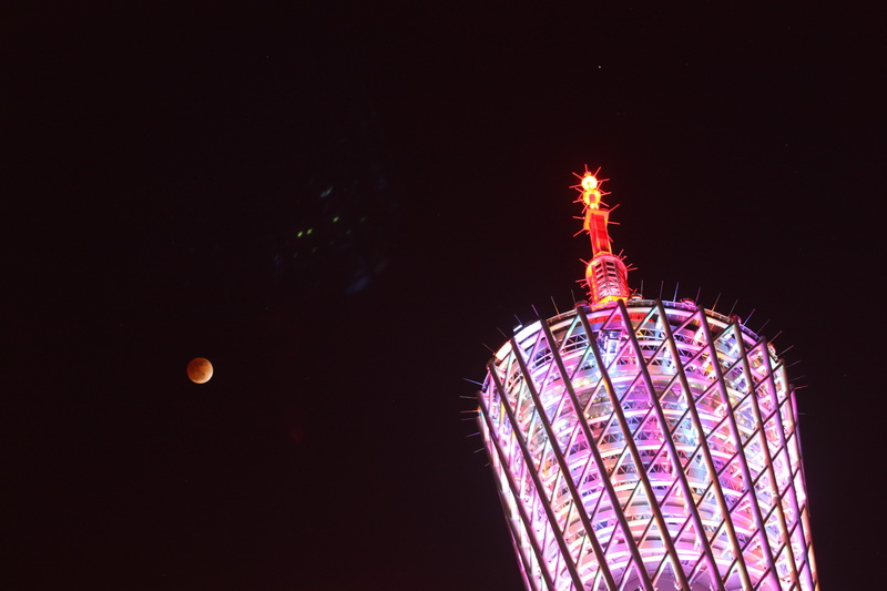 IMG_4508_调整大小.JPG