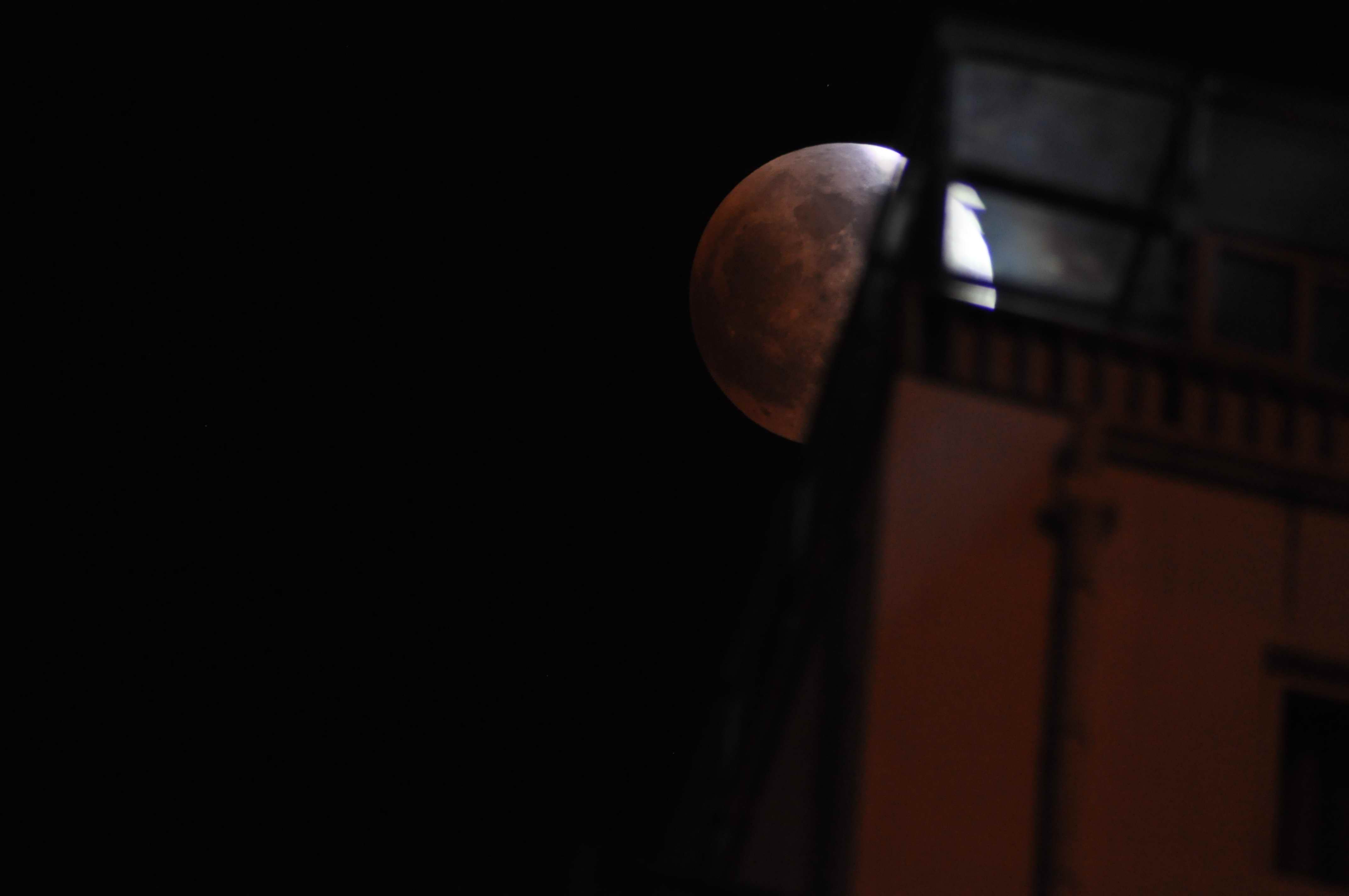 DSC_1513.jpg
