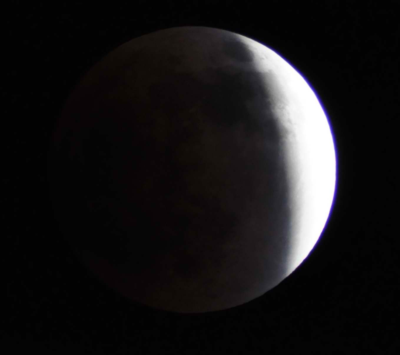 DSC_1517.jpg