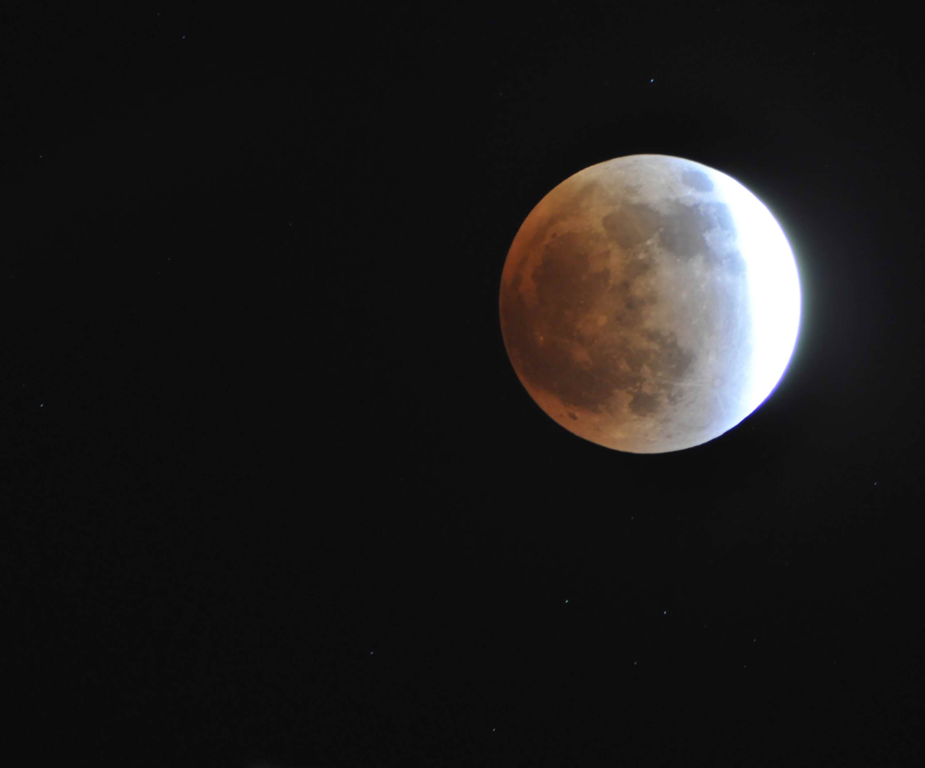 DSC_1518.jpg