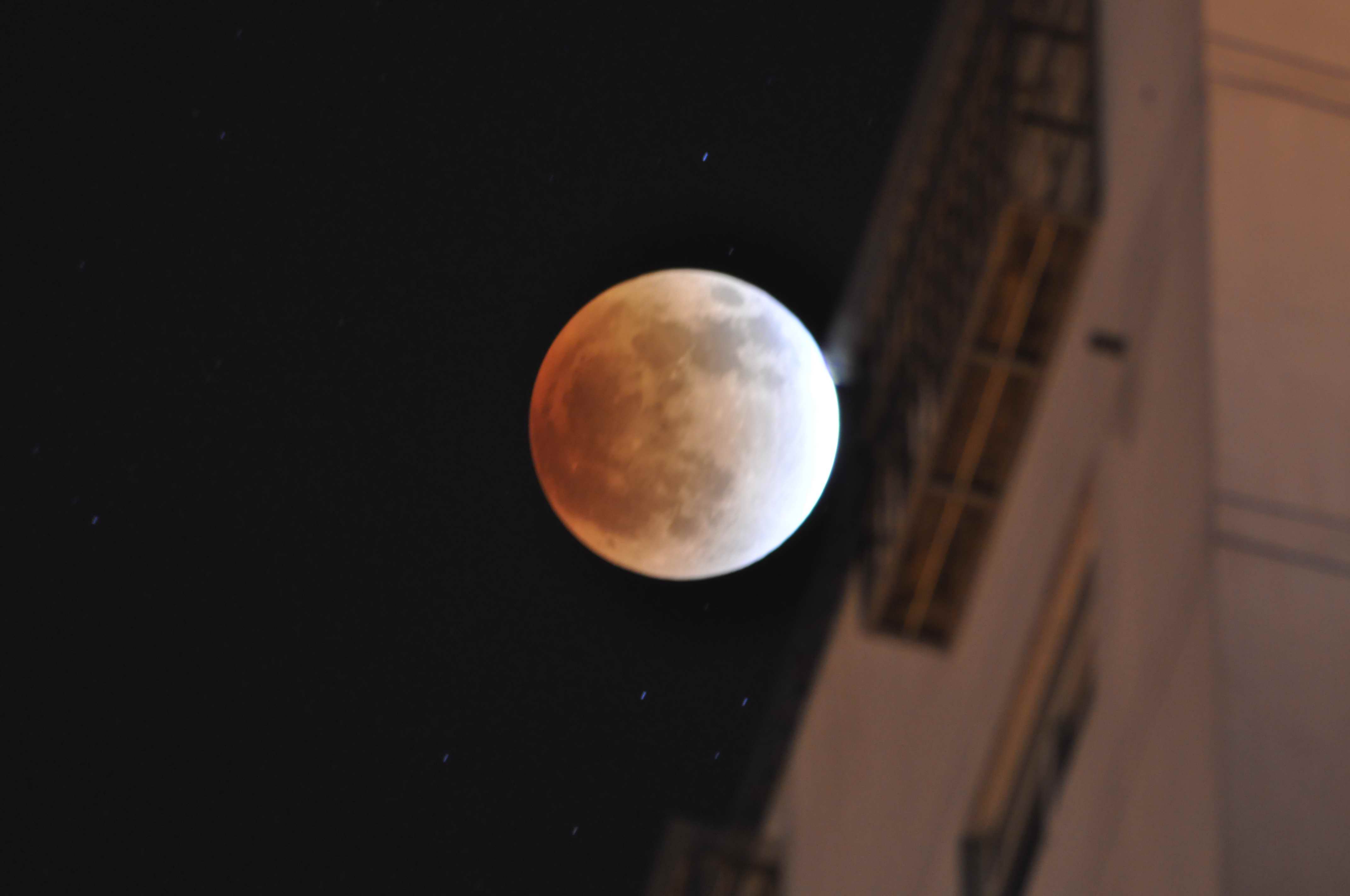 DSC_1525.jpg