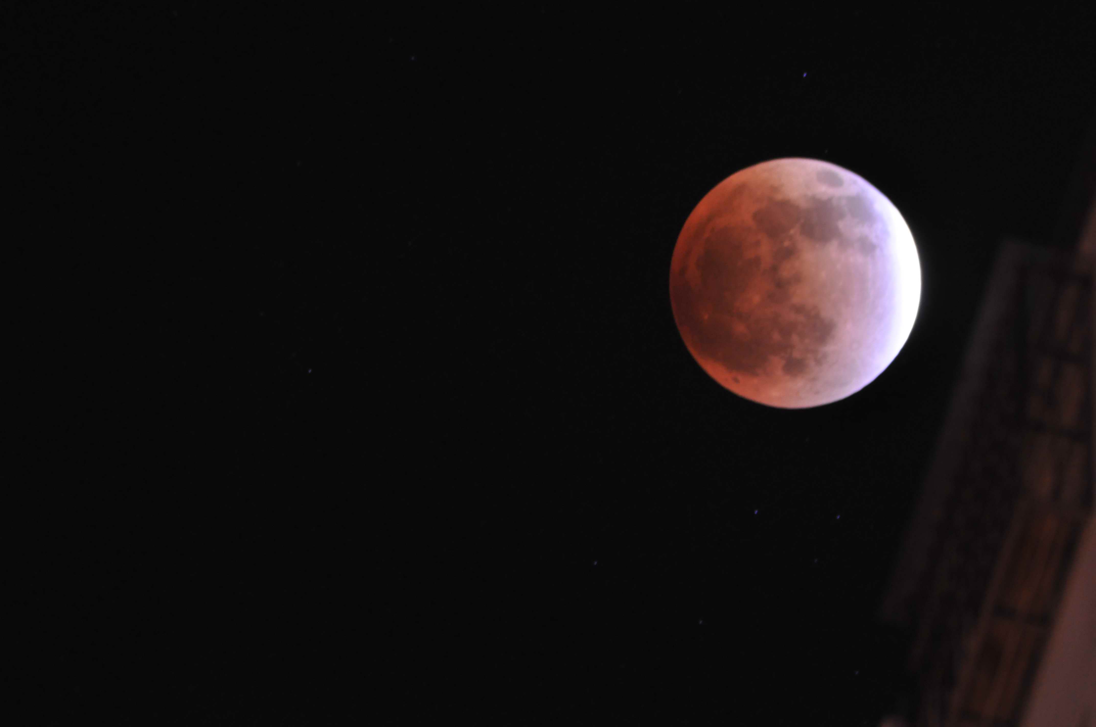 DSC_1520.jpg