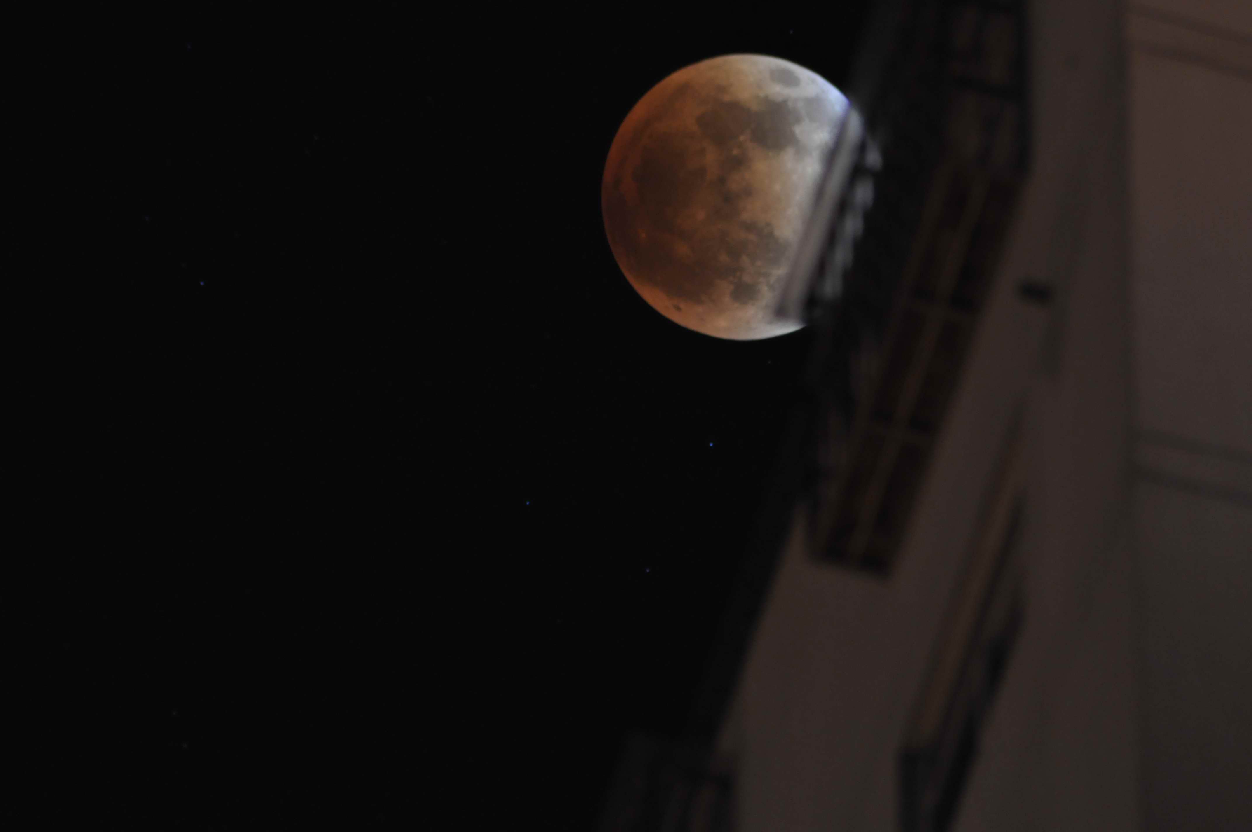 DSC_1528.jpg