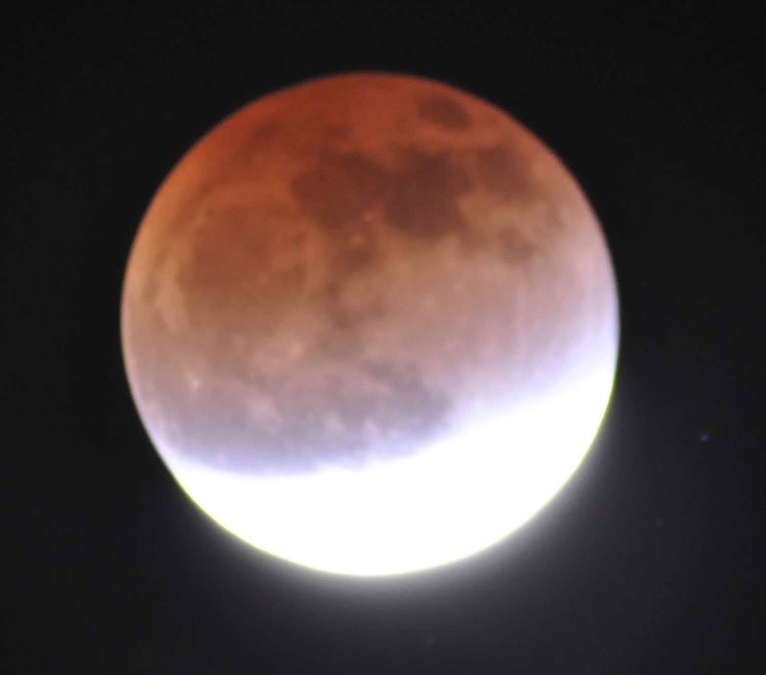 DSC_1576生光.jpg