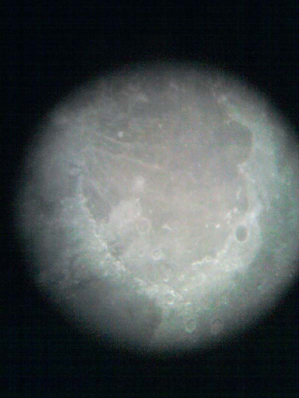IMG_20111214_002743.jpg