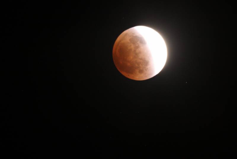 IMG_3764.jpg