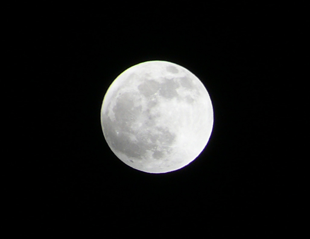20:20