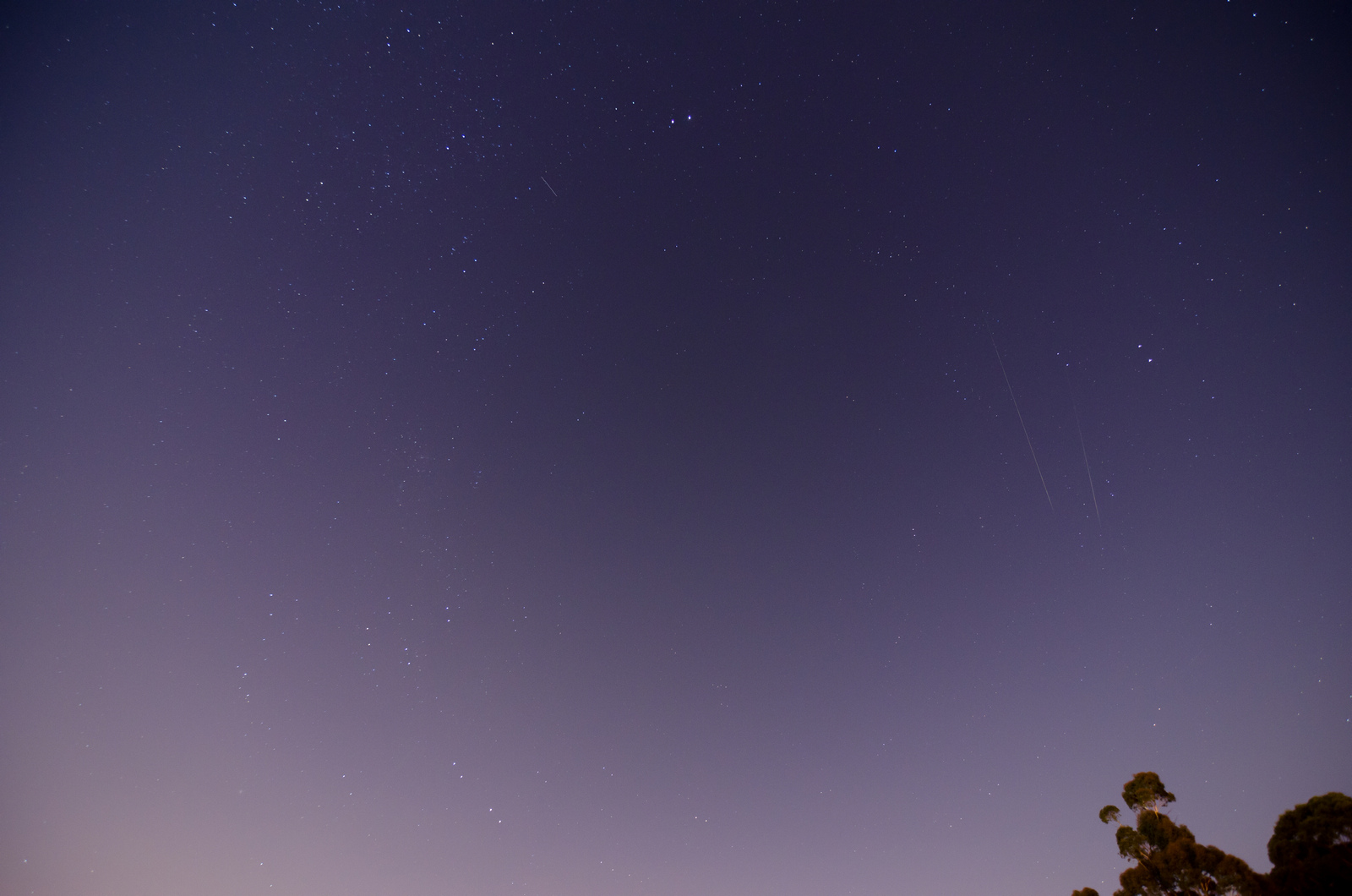 geminids_M.jpg