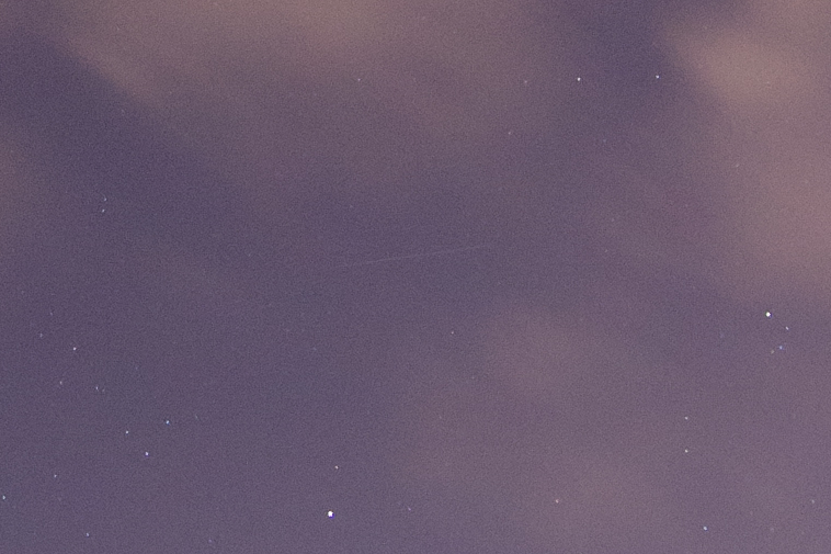 ZQA_5247ACRcrop.jpg