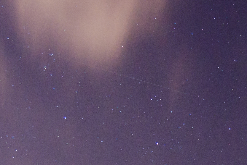 ZQA_5268ACRcrop.jpg
