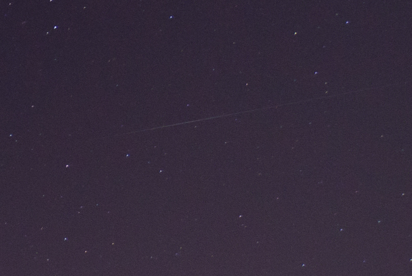 ZQA_5432ACRcrop.jpg