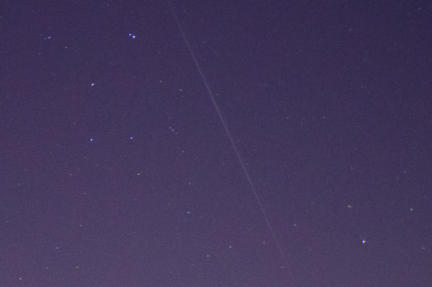 ZQA_5547ACRcrop.jpg