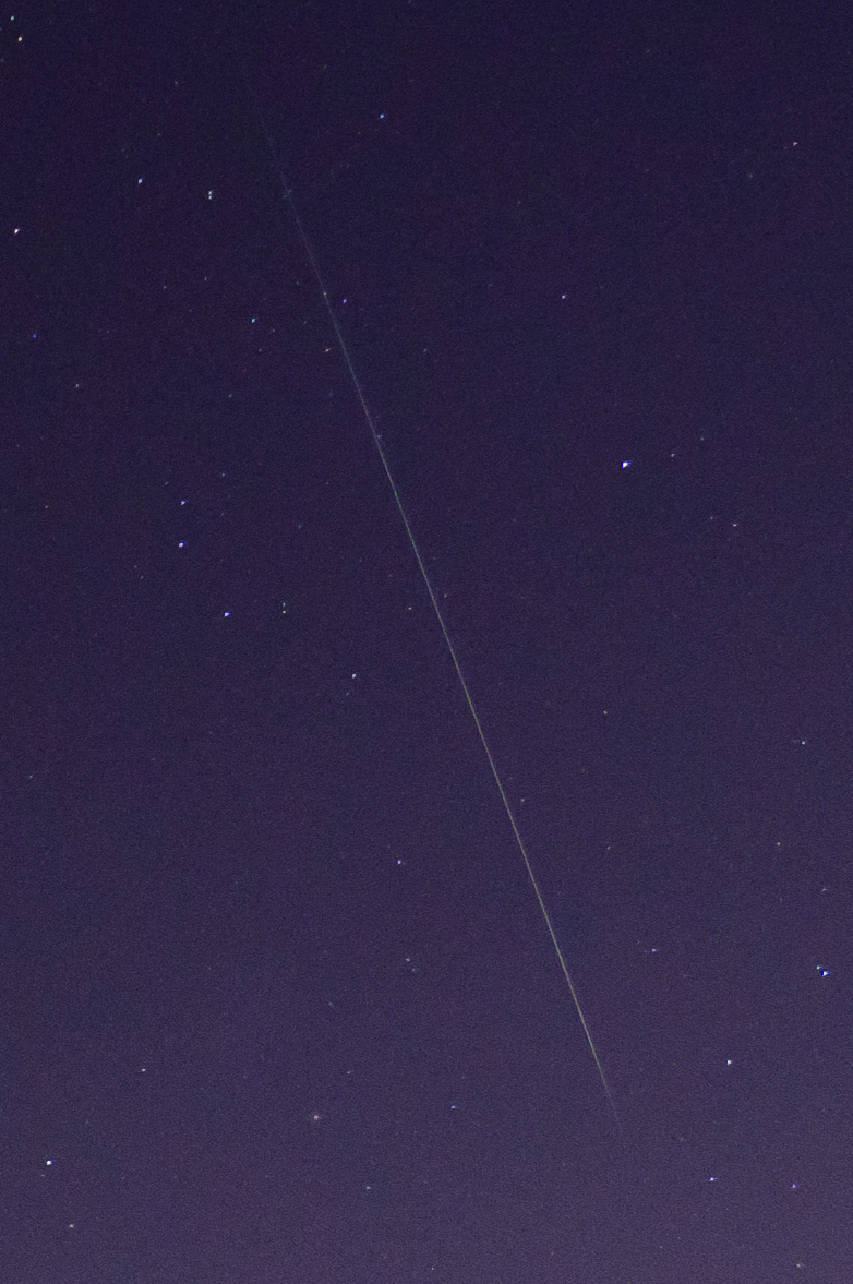 ZQA_5599ACRcrop.jpg
