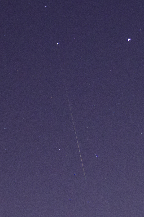 ZQA_5633ACRcrop.jpg
