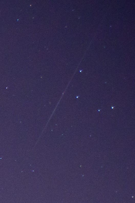 ZQA_5780ACRcrop.jpg