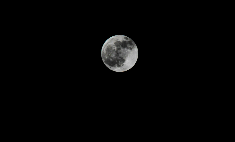 DSC_0717.jpg