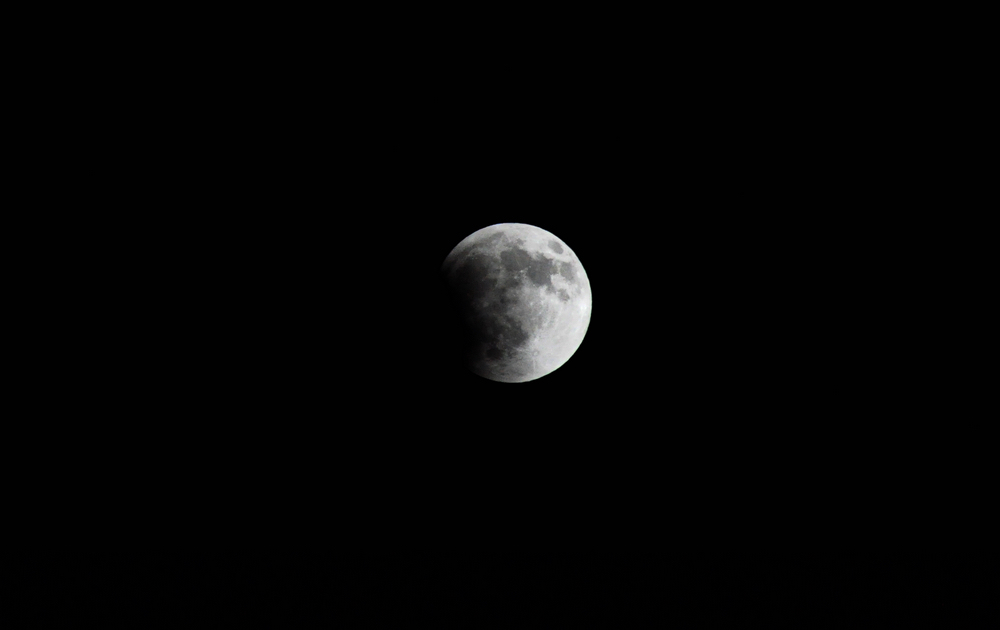 DSC_0737.jpg
