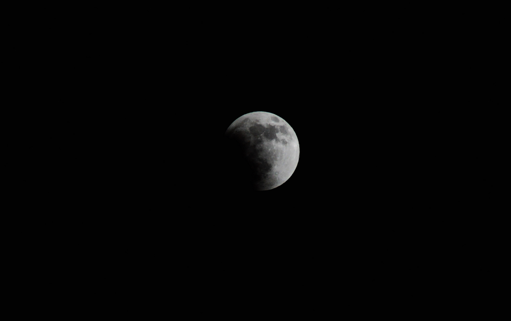 DSC_0745.jpg