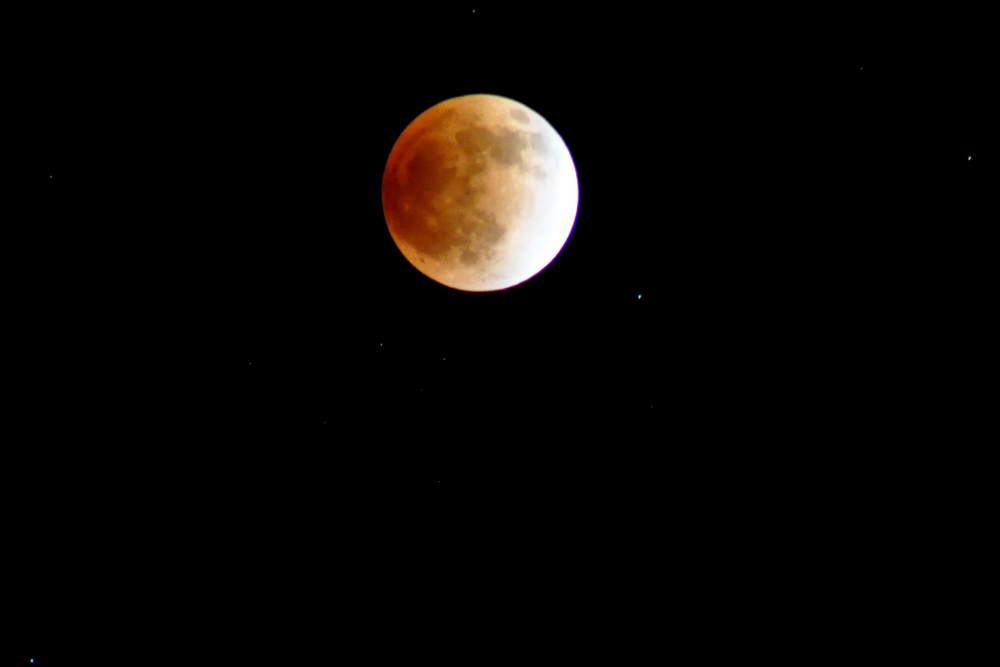 DSC_0811.jpg