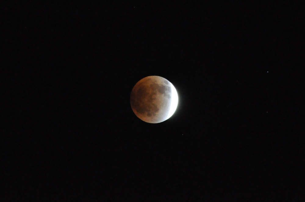DSC_0795.jpg