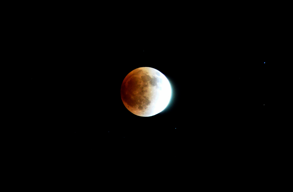 DSC_0796.jpg