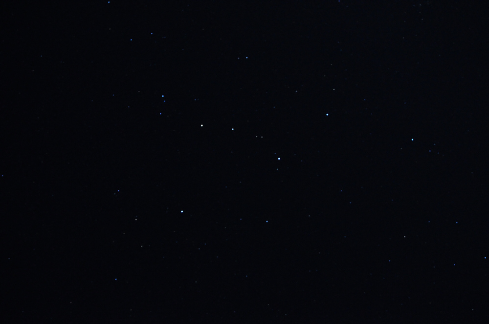 DSC_0736.jpg
