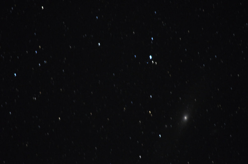DSC_0838.jpg