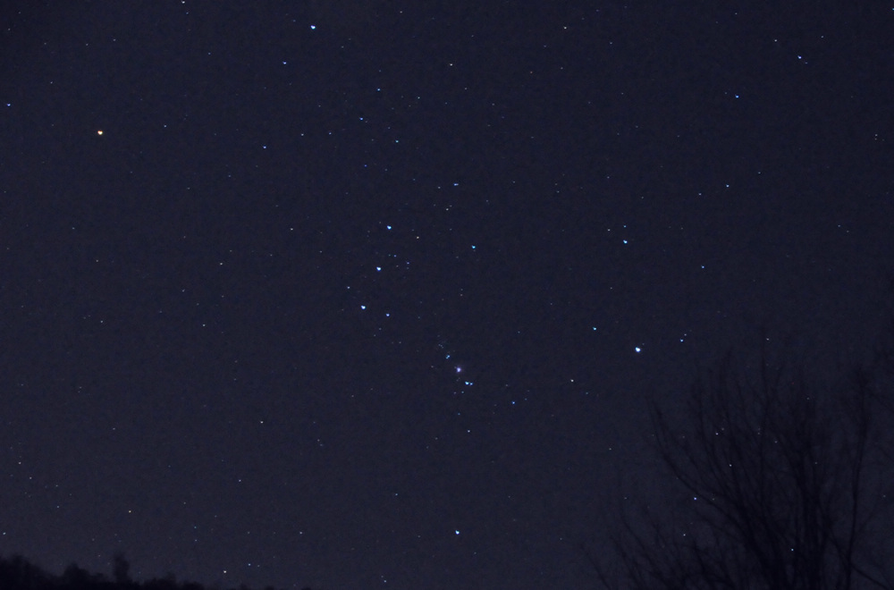 DSC_0776.jpg