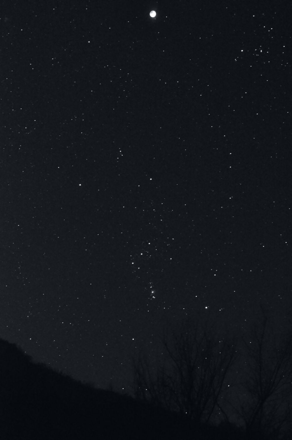 DSC_0821.jpg