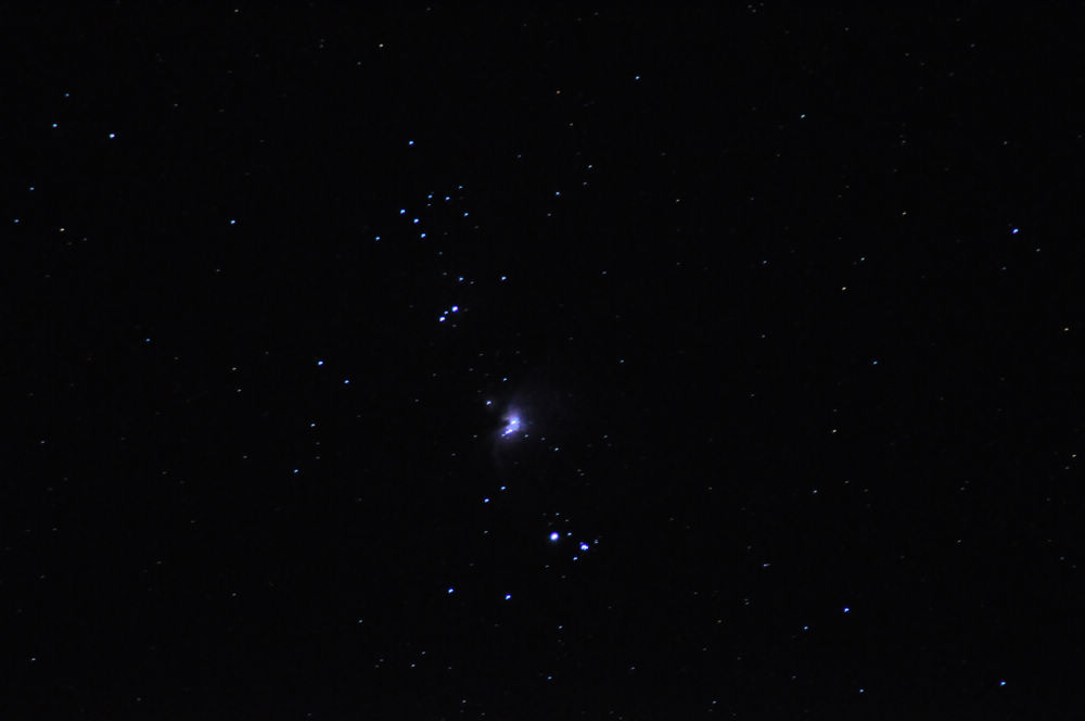 DSC_0848.jpg