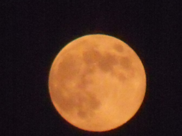 DSCF0769.JPG