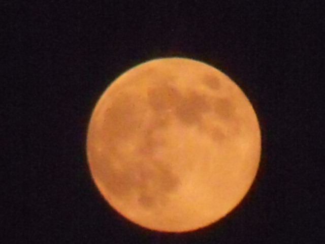 DSCF0770.JPG