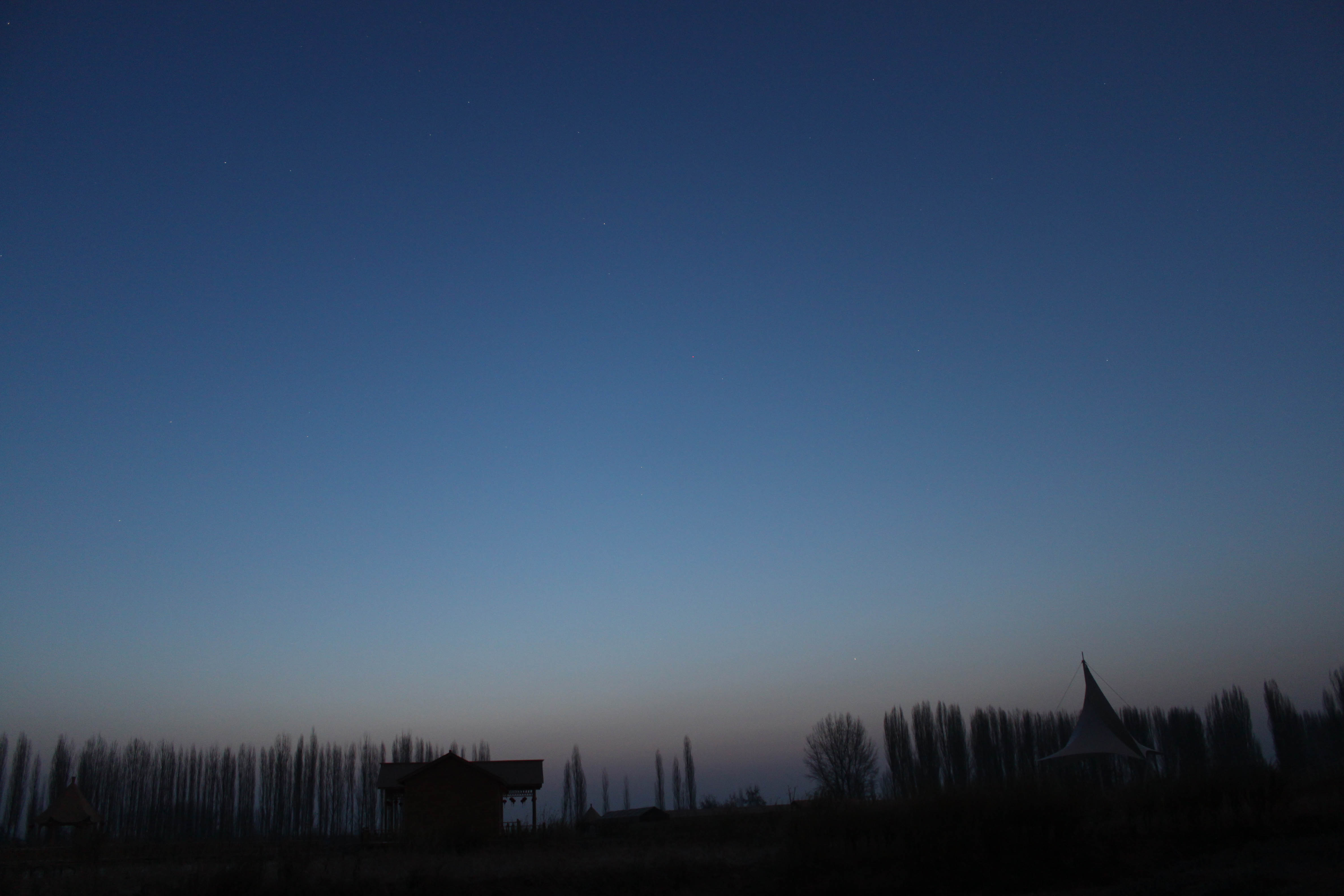 IMG_6323-1.jpg