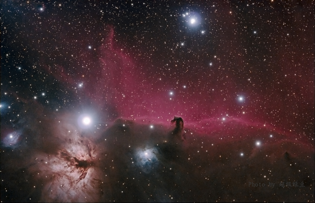 horsehead-s.jpg