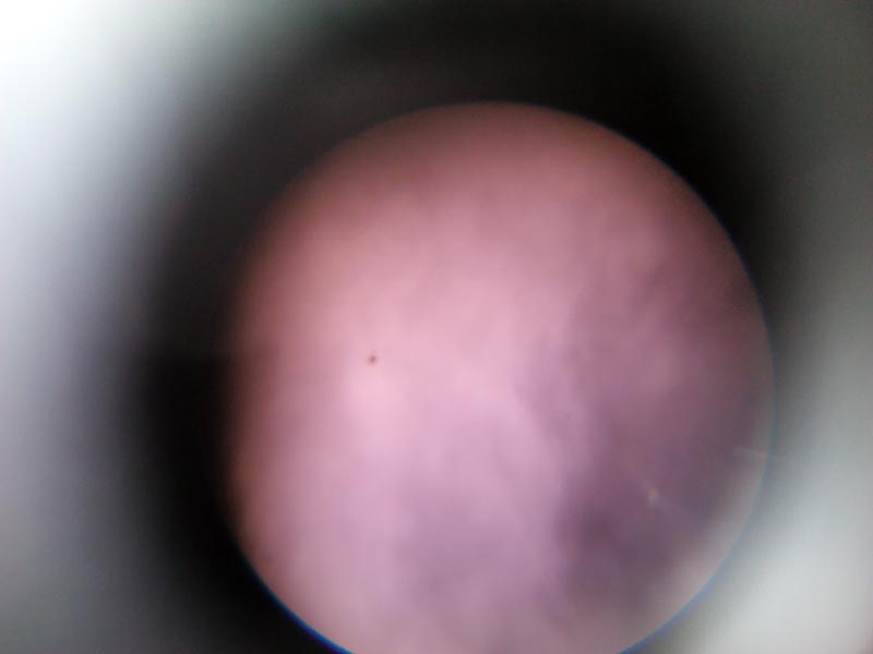 IMG_20111216_135726.jpg