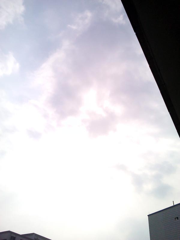 IMG_20111216_141958.jpg